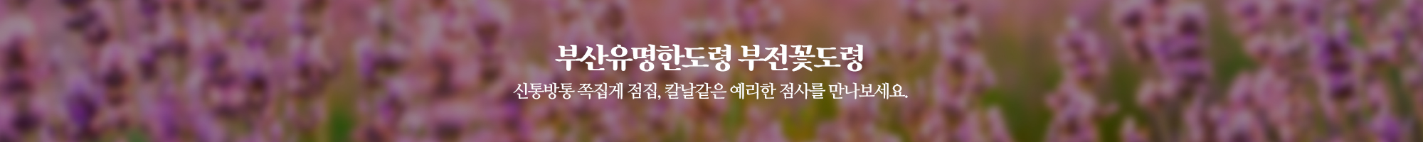 부전꽃도령_이미지pc